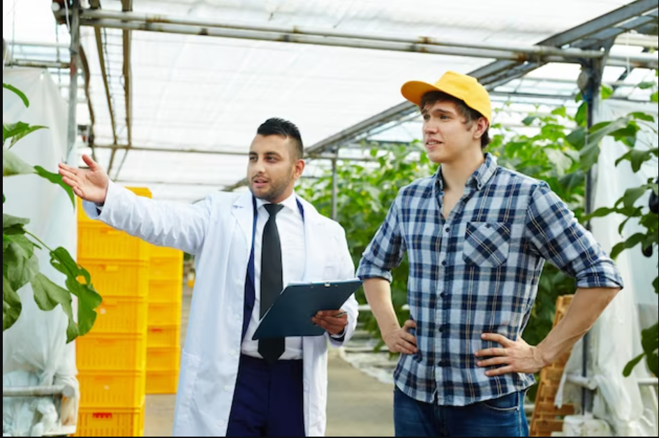 Master's of Landscape Contractors